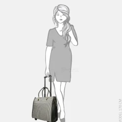 Business Trolleys | Business Trolleys^Olivia Lauren Emily business trolley ruitjes