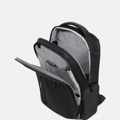 Laptop Rugzakken^Samsonite Biz2go rugzak 15 inch black