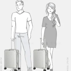 Handbagage Koffers^Travelite Next 2.0 handbagage koffer 55 cm silver